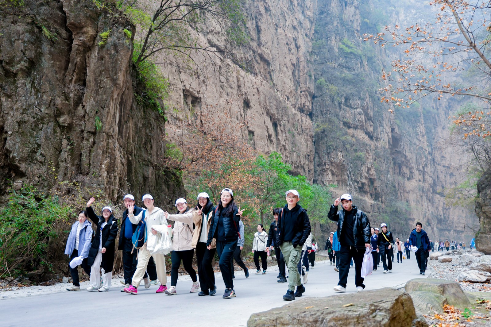 1742291007744943.jpg 1742291007744943.jpg